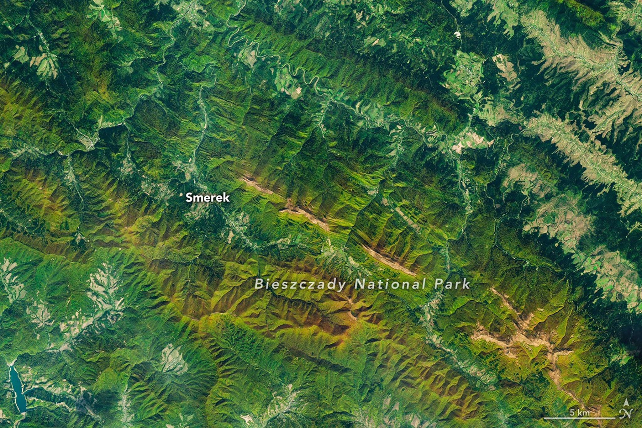 Landsat satellite view of green, orange and gold forest ridges and pale high meadows in Poland’s Bieszczady National Park