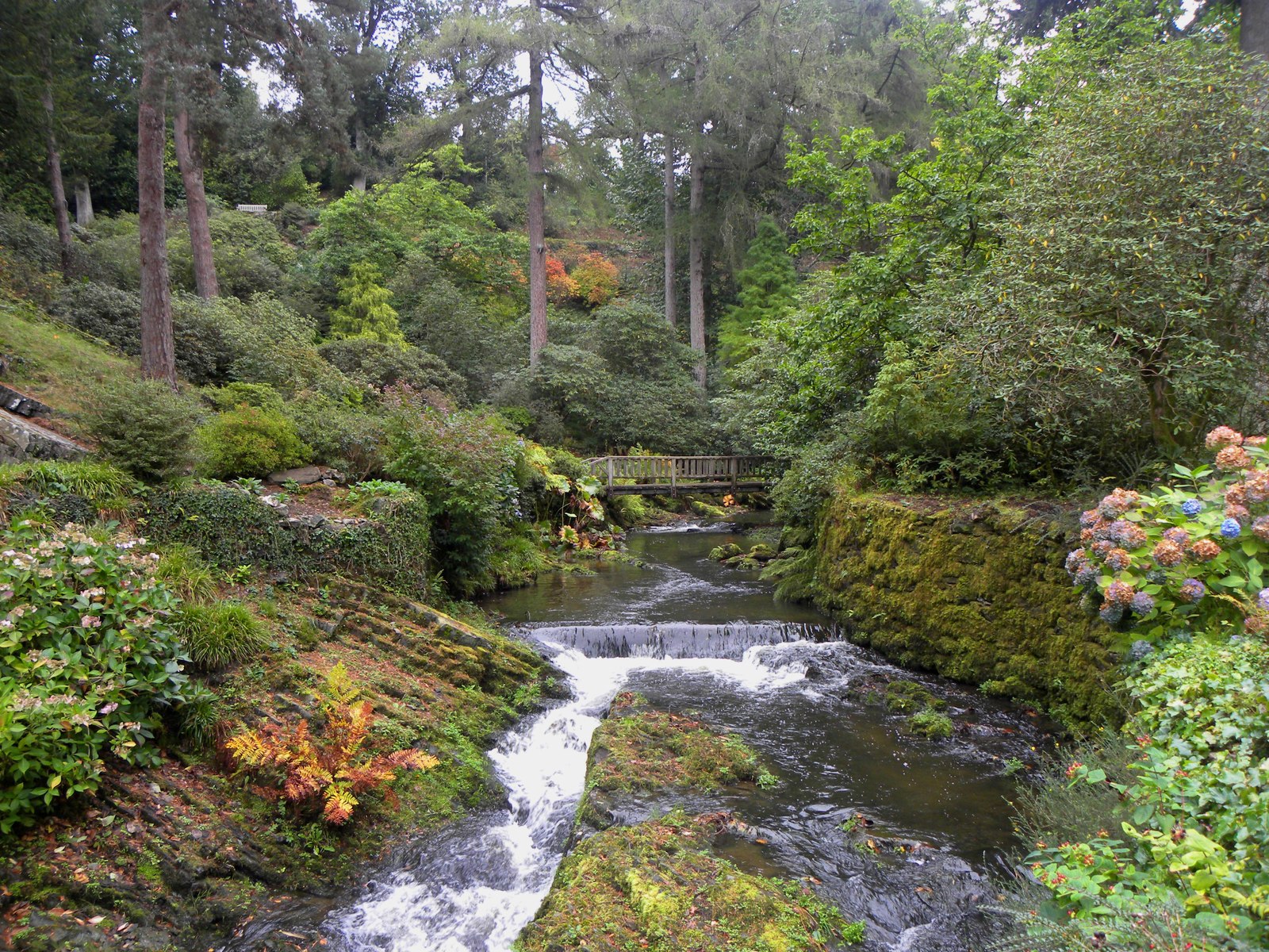 Trees, a footbridge and a stream in the Dell at Bodnant Garden in autumn